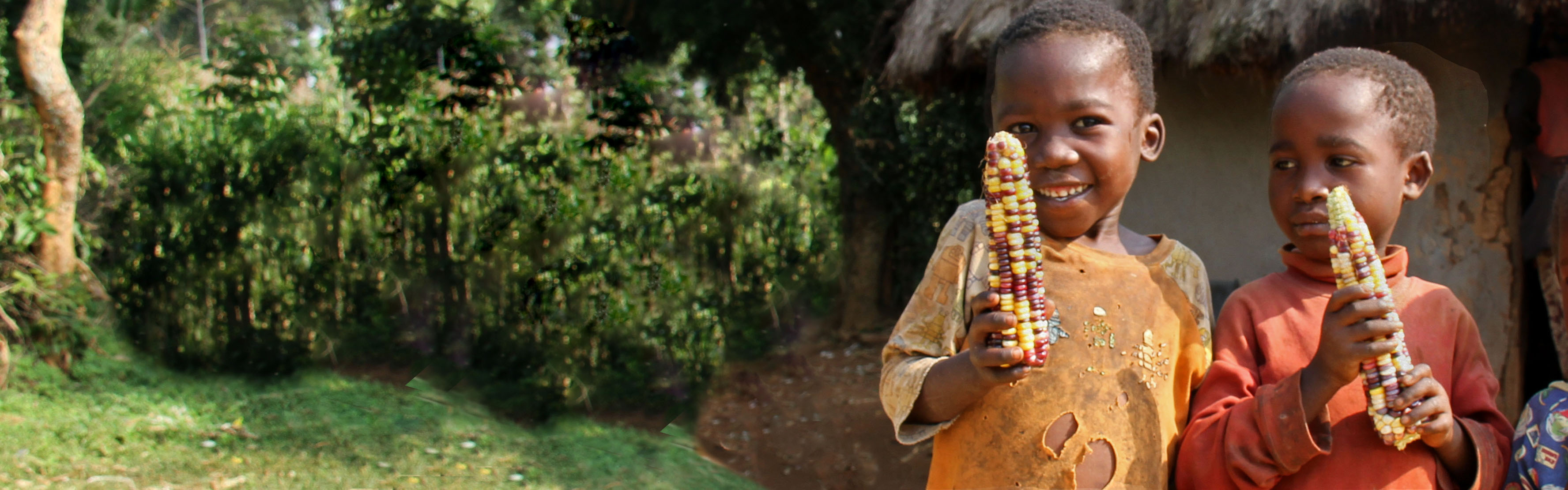 kids-and-corn