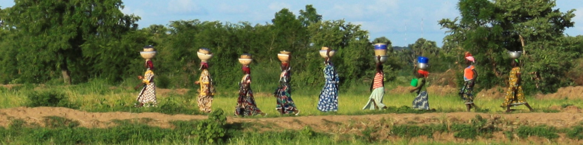 women rice farmers in benin