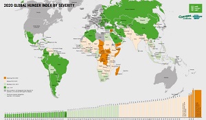 Illustration for resource 2020 Global Hunger Index